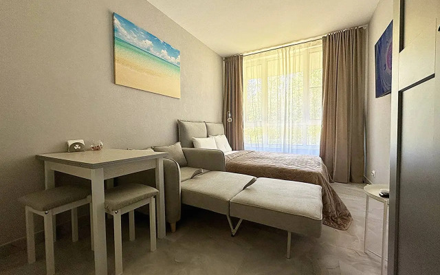 Апартаменты Студия в Зеленогорске - фото 5