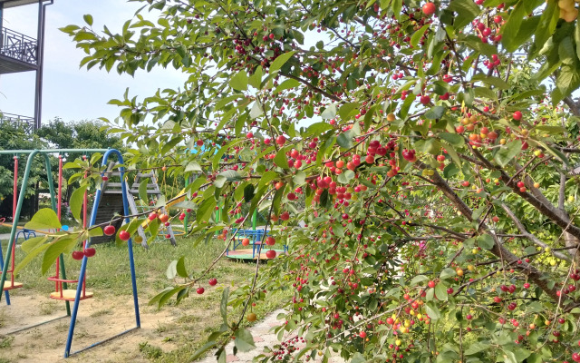 Гостевой дом Добрый Бобр