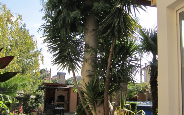 Меблированные комнаты Южный Ветерок