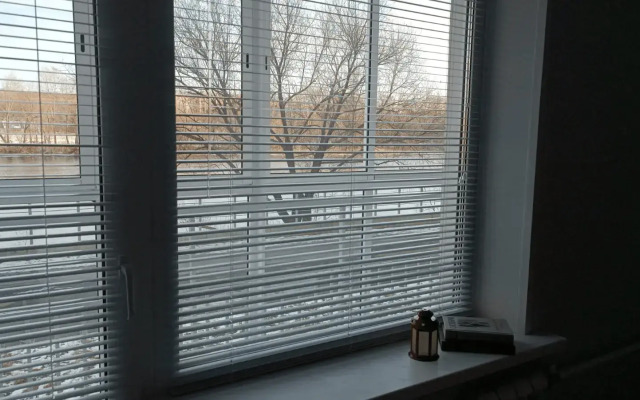 Tsentr. Bereg Reki Apartments