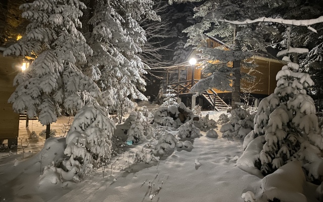 Polyana Zubrov Recreation Camp