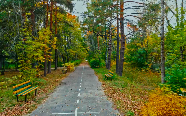 Отель Сосновый бор