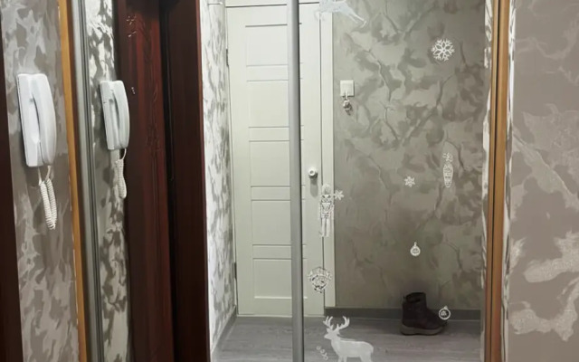 Квартира 1 комнатная квартира в районе СГТУ