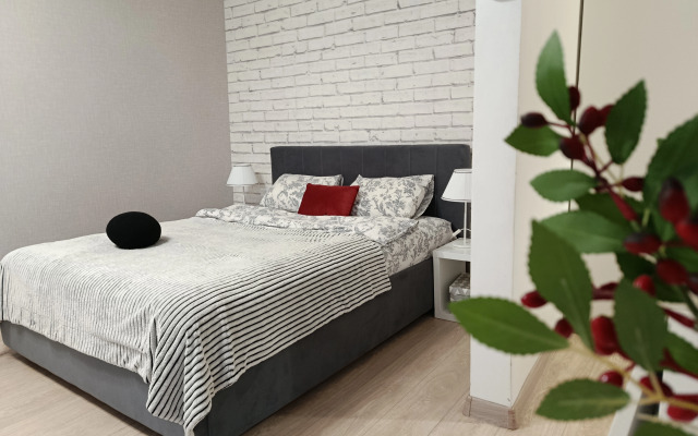 Апартаменты 200 метров от Кремля