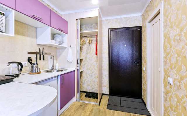 Апартаменты Hanaka на Пионерской 21Б №24