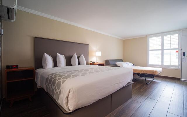 Equus Inn Ocala Hotel
