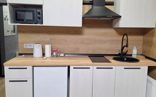 Apartamenty Premium klassa v elitnom ZK Legenda v centre Tuly (V)