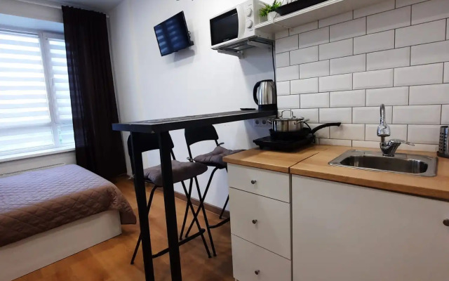 Апартаменты студия Кошурникова 23/1