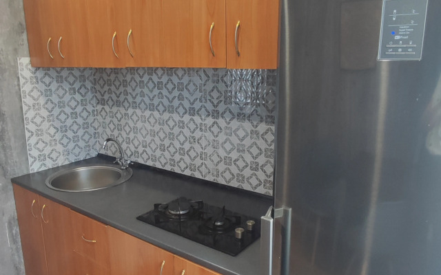 Lenina 31 Apartments (1)
