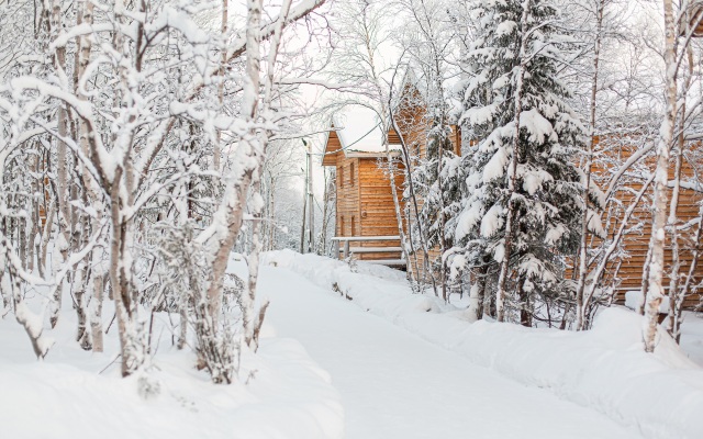 Hotel Arctic Home