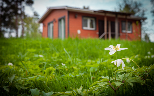 EduneEdu — cottages for rent Guest house
