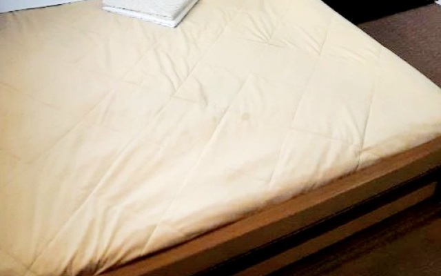Semeyny Guest House