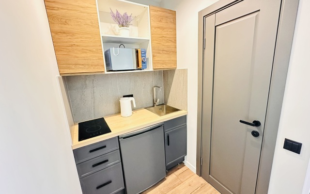 Апартаменты Hanaka на Автозаводской 17к1 №65