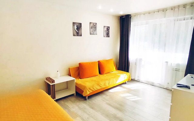 Komfort Na Fadeeva Apartments