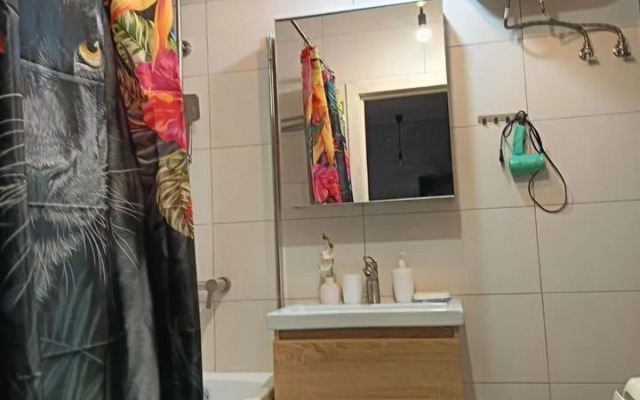 Квартира на Улице Мичурина 58к3