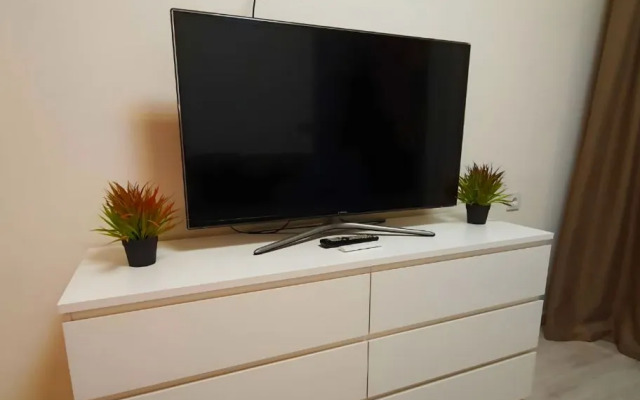 Uyutnaya Studiya Na 203-m Mikrorayone Flat