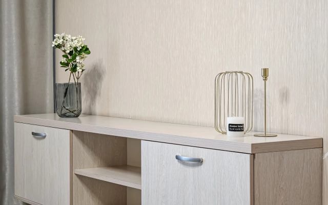 Апартаменты Евротрёхкомнатные Stepanenkov на Зыряновской 55