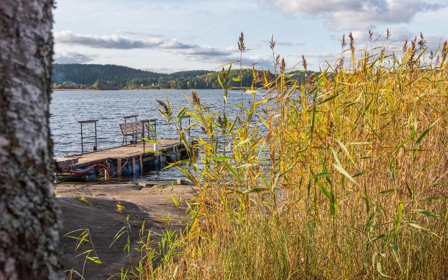 Bereg U Lesa Guest House