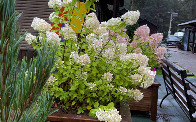 База отдыха Малиновка