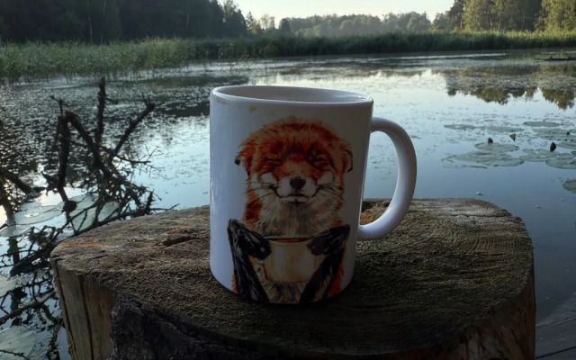 Частный дом с баней в лесу на берегу Истринского водохранилища