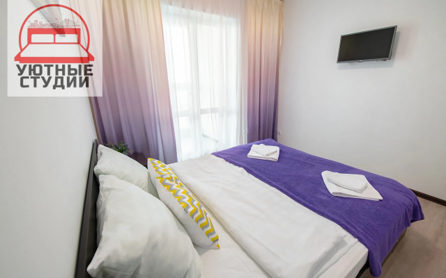 Уютная студия 1 на улице Фастовская