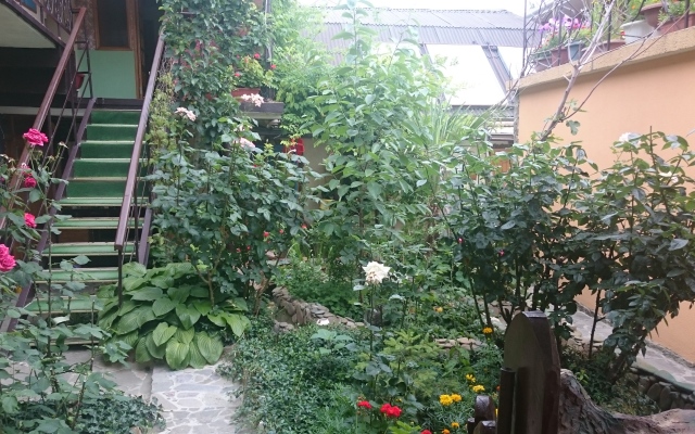 Guest House Vishnevsky