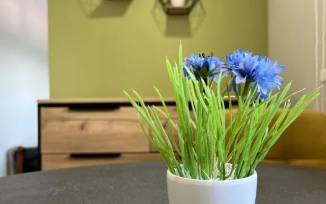 Апартаменты Крыша 6