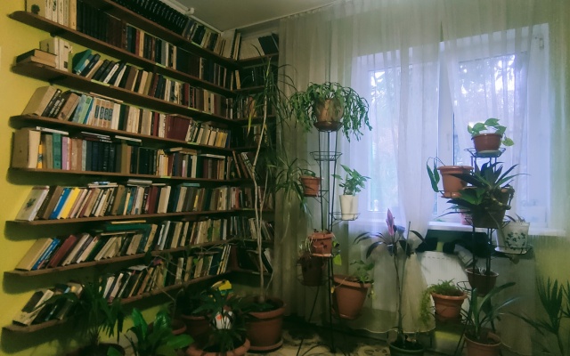 Solnechny Kray Guest House