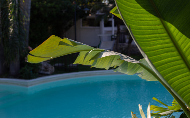 Masseria Messapia Wine Resort & SPA Отель