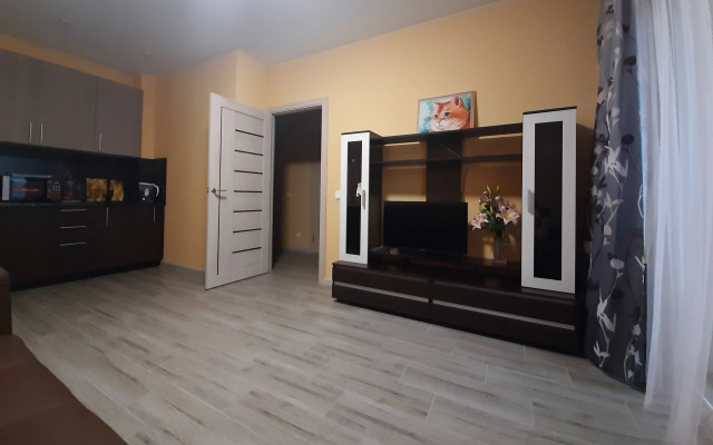 U Finskogo zaliva na Vasilievskom ostrove Flat
