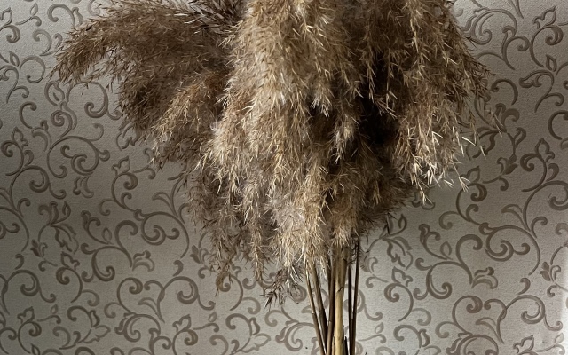 Квартира у парка Победы