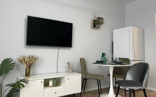 Sovremennaya studya nedaleko ot aeroporta Vnukovo Flat