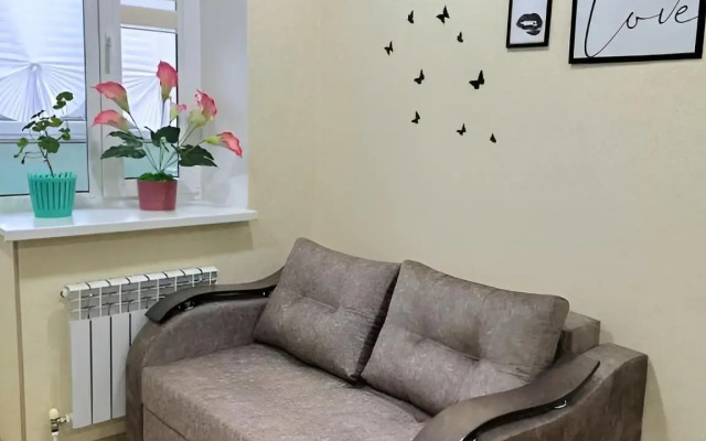 Uyutnaya Prostornaya Kvartira Flat