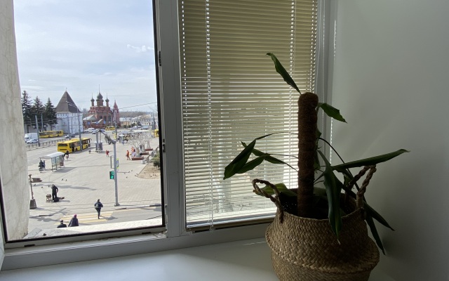 Apartamenty Studiya Skandi S Vidom Na Kreml