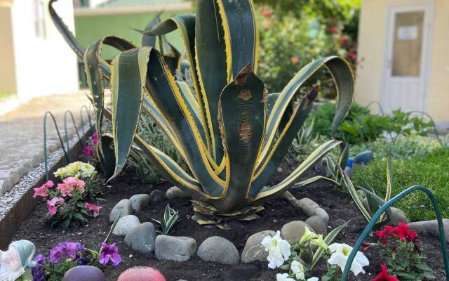 Agave Guest House
