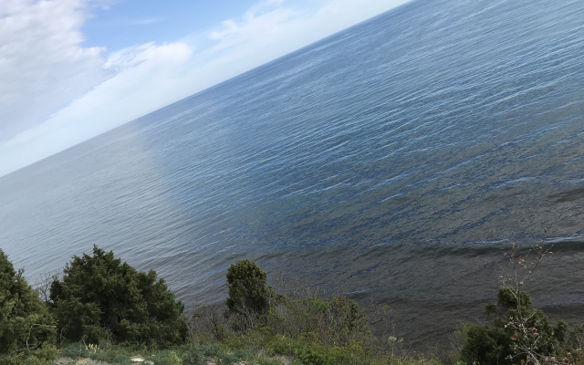 Paradise