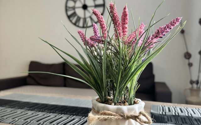 Апартаменты на Набережной 803