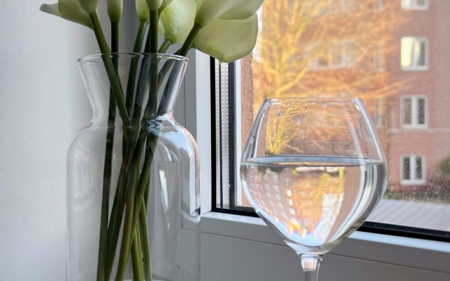 Квартира в центре у озера