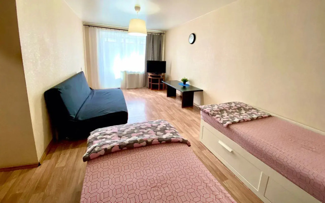 Апартаменты на Боровой 24