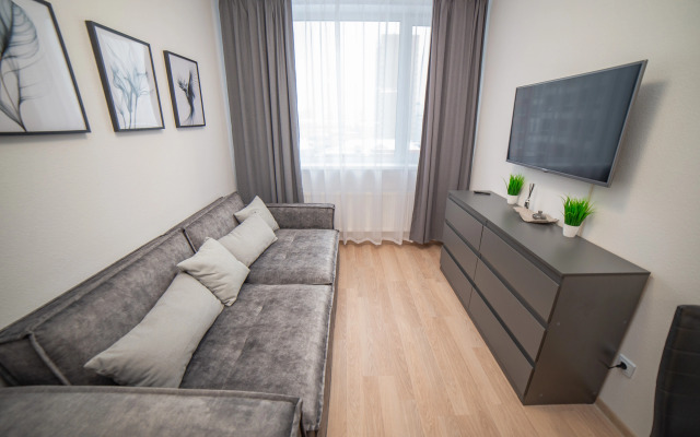 Апартаменты Гагарина 9 Серая