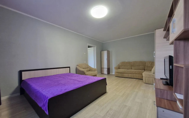 Na Radischeva  Flat