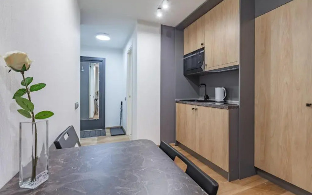 Апартаменты Лофт квартиры на Большой Подьяческой