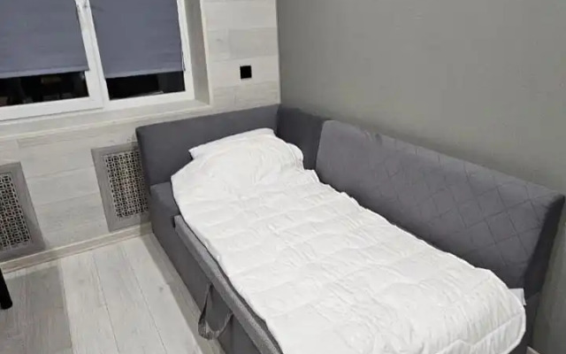 Квартира Олимпийская 87