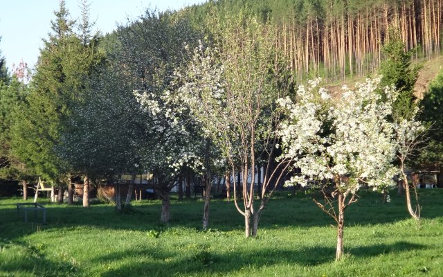 Gostevoj Dvor Parma Health Resort