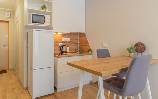 Apartment Standart SalutApart 8
