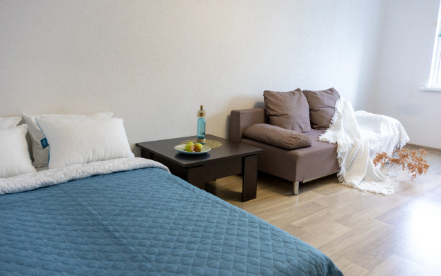 Квартира на Московском проспекте 209