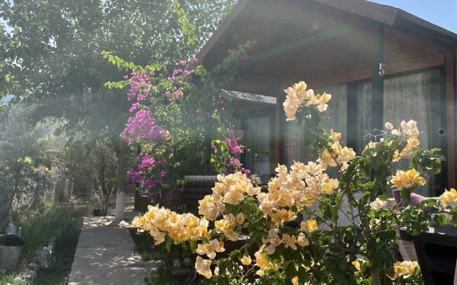 Marimare Beach & Bungalow Bungalow