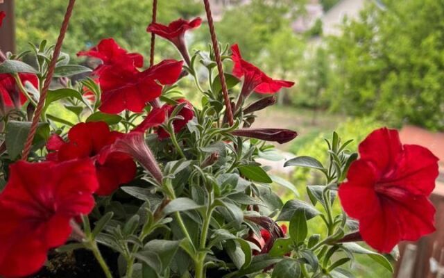 Na Dmitriya Donskogo 2a Flat