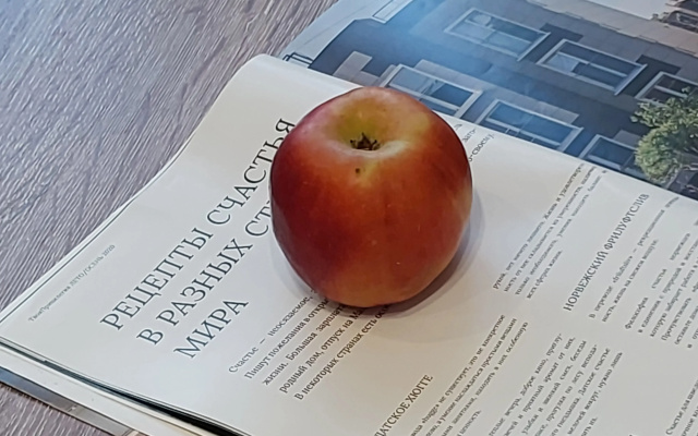 Kvartira Evrodvuska s vidom na gorod