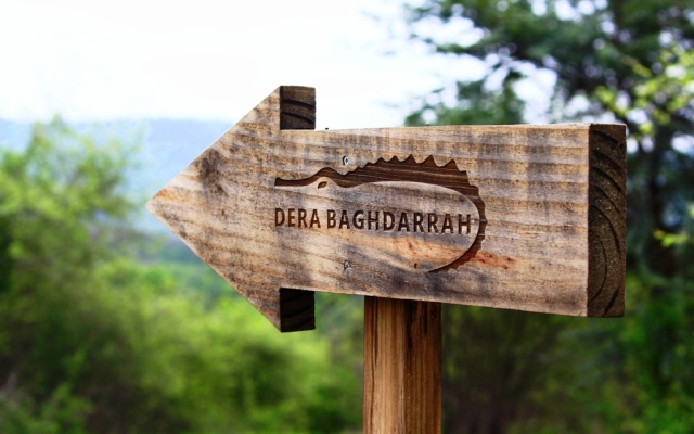 Отель Dera Baghdarrah Nature Retreat Udaipur